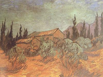 Vincent Van Gogh Wooden Sheds (nn04) oil painting image